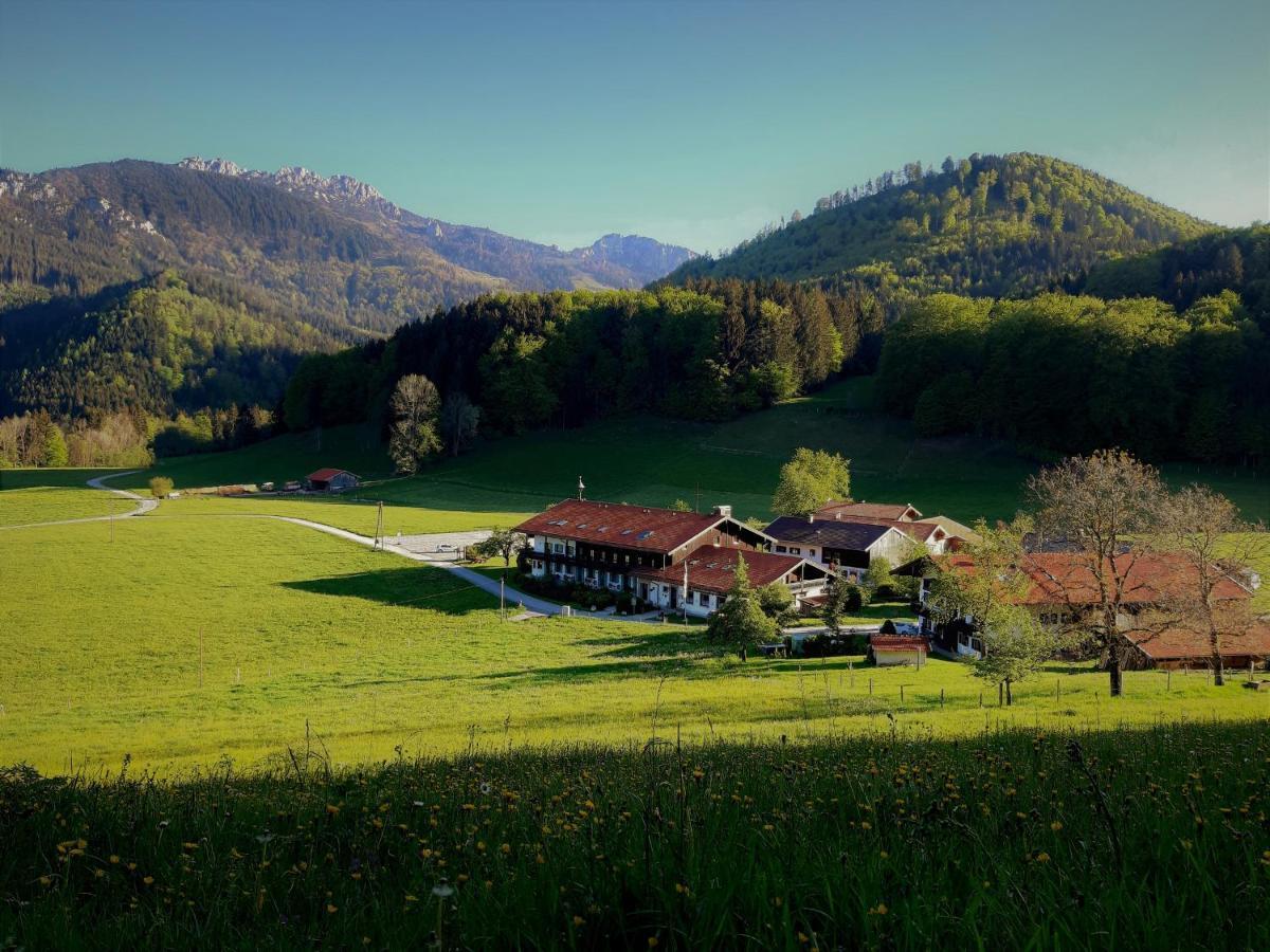 Gschwendtnerhof App10 Krausw Apartment Ашау им Кимгау Екстериор снимка