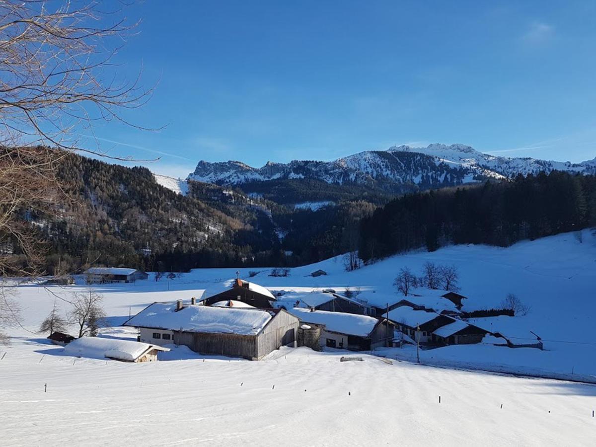 Gschwendtnerhof App10 Krausw Apartment Ашау им Кимгау Екстериор снимка